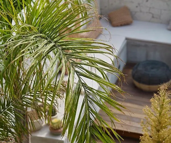 Kaipo Adult Only Hotel Alaçatı