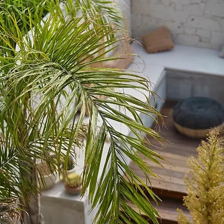 Kaipo Adult Only 酒店 阿拉恰特