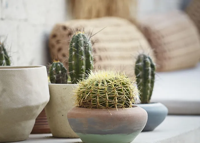 Hotel Kaipo Adult Only